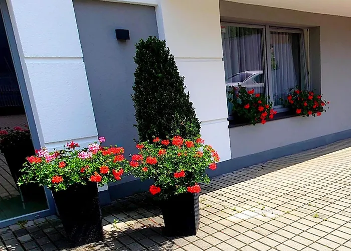 Akacja - Orlowo ベッド・アンド・ブレックファスト グディニャ